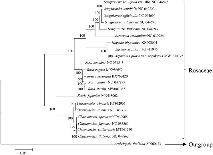 Figure 1.