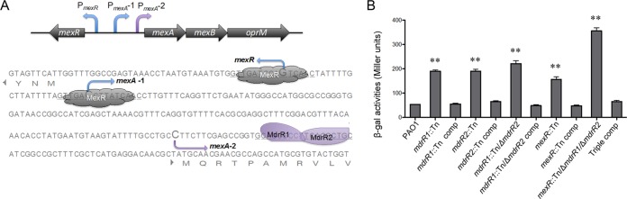 FIG 6