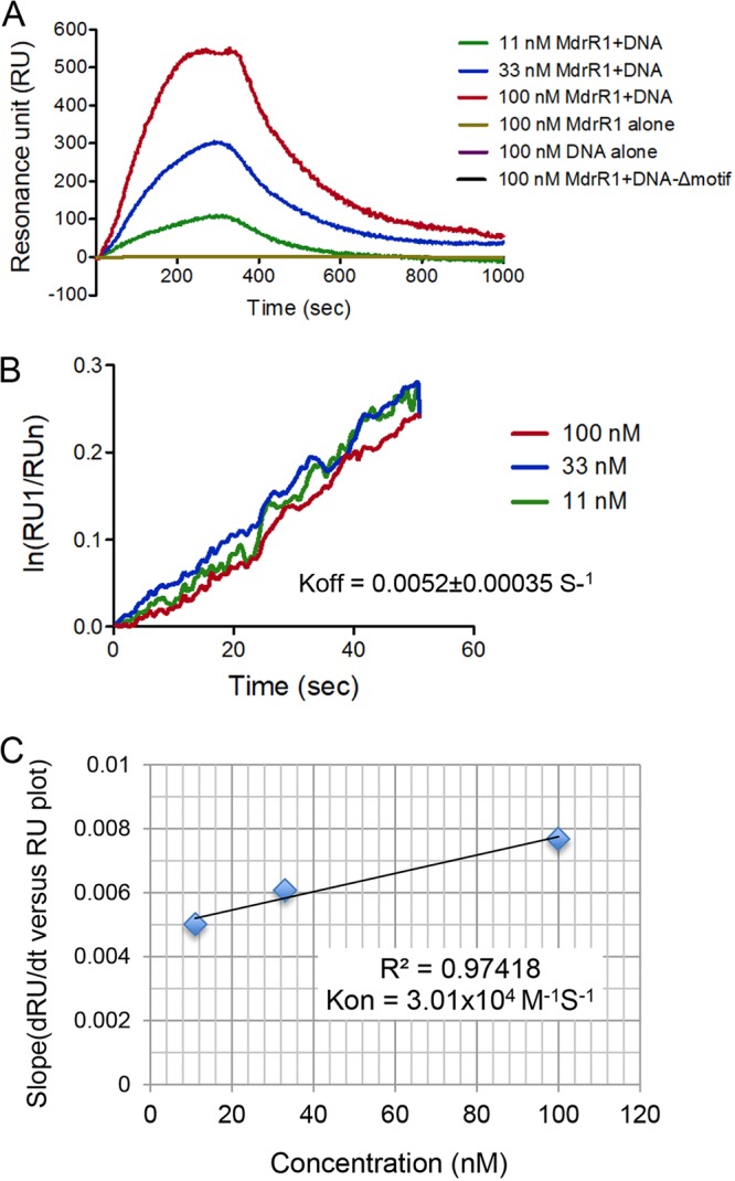 FIG 4