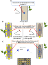 FIG 2