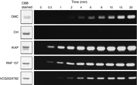 Fig. 3