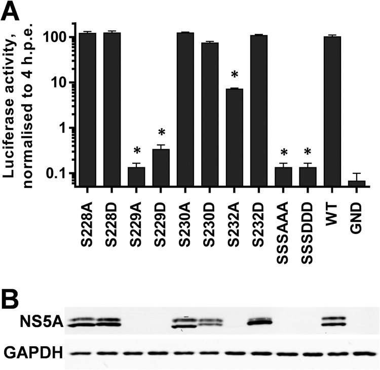 FIG 4