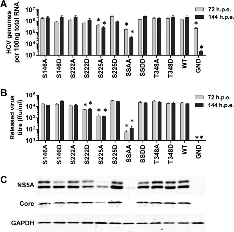 FIG 3