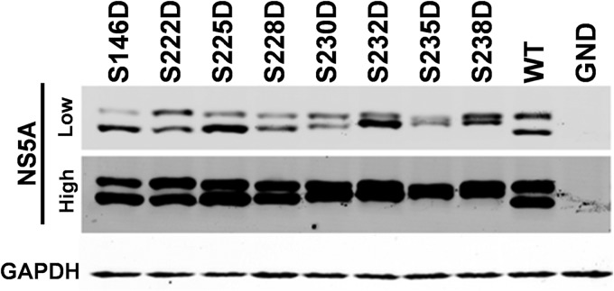 FIG 5