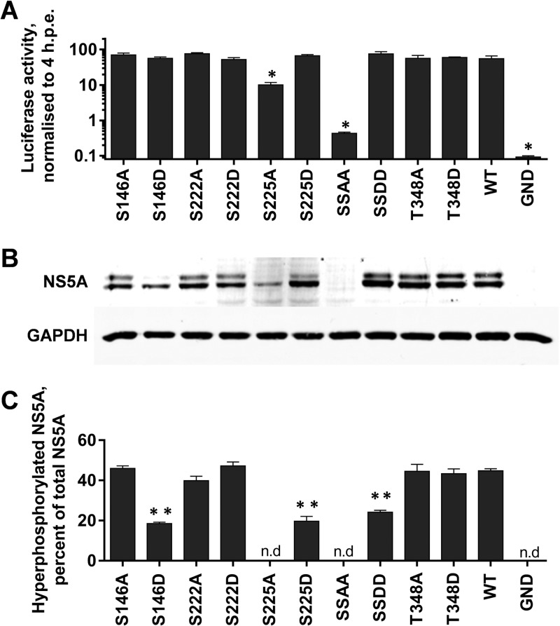 FIG 2