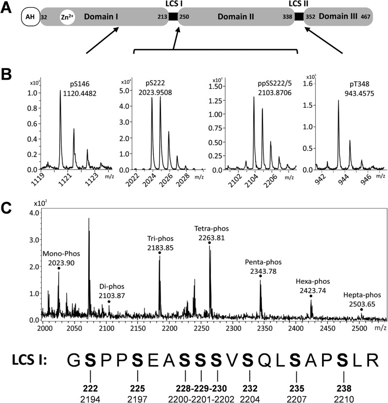 FIG 1