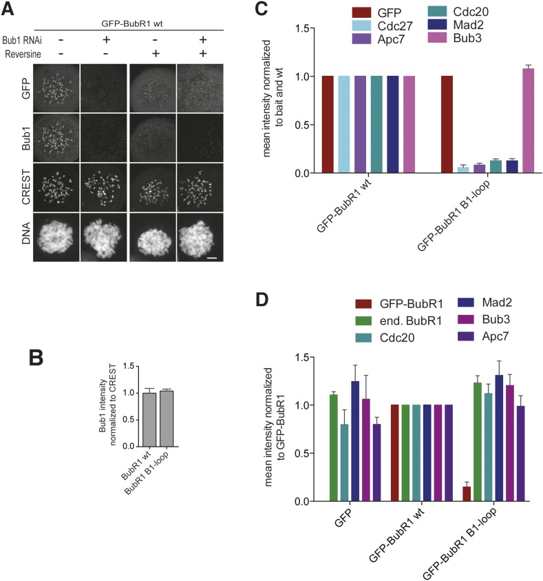 Figure 3—figure supplement 1.