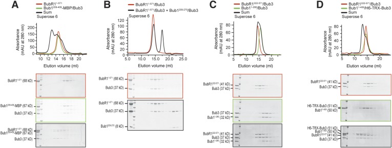 Figure 4—figure supplement 1.