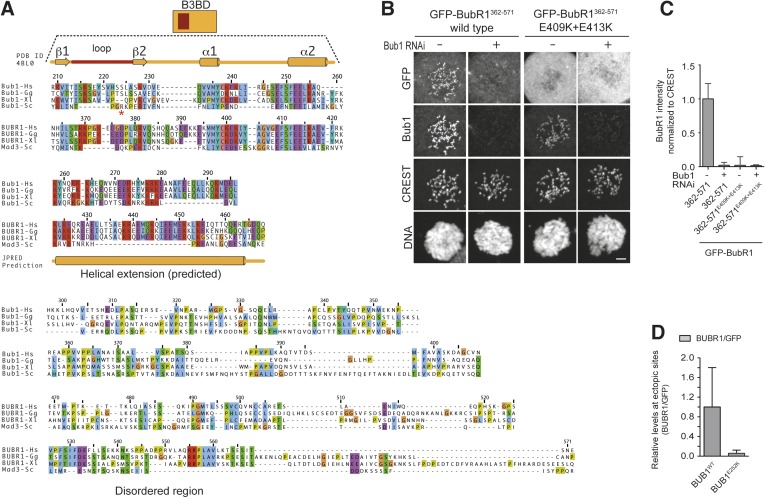 Figure 6—figure supplement 1.