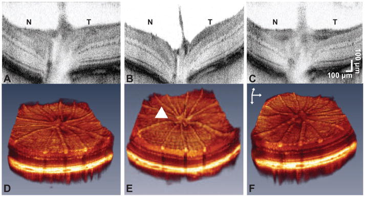 Fig. 5