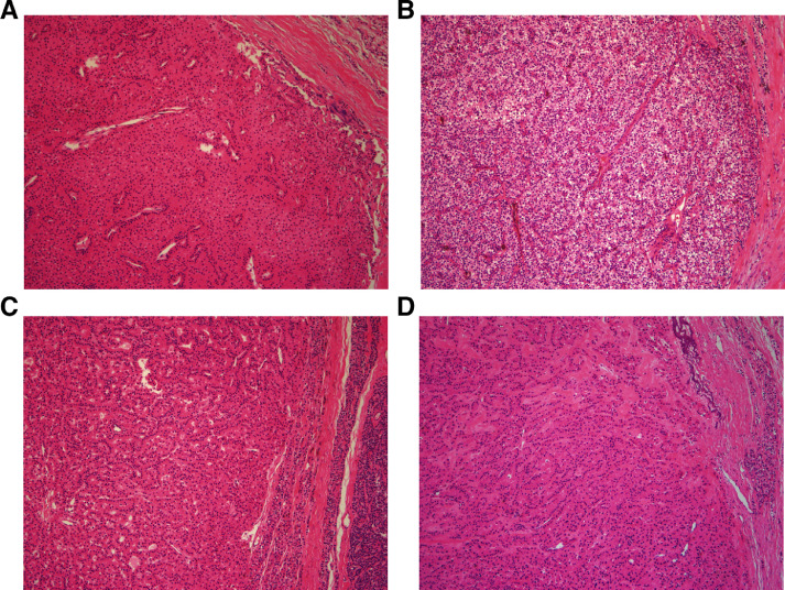 Fig 4 –