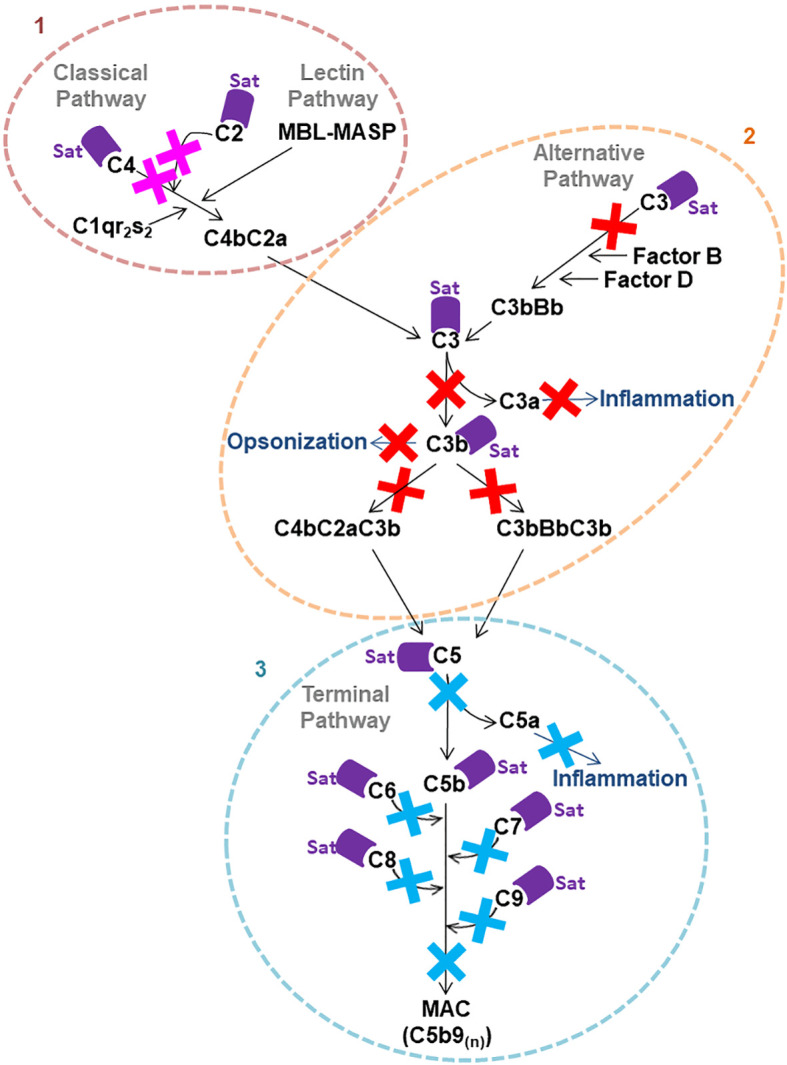 Figure 11