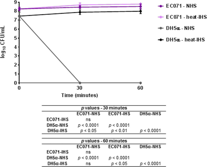 Figure 3