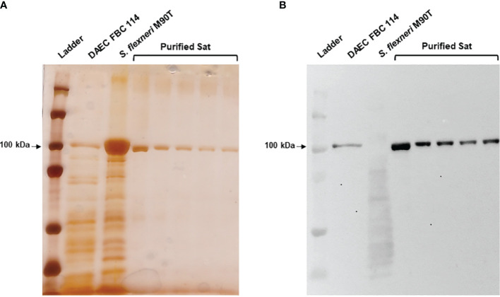 Figure 4