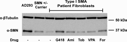 Figure 6.