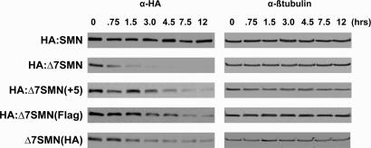 Figure 3.