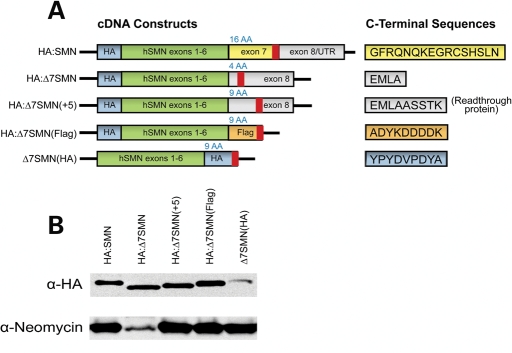 Figure 2.