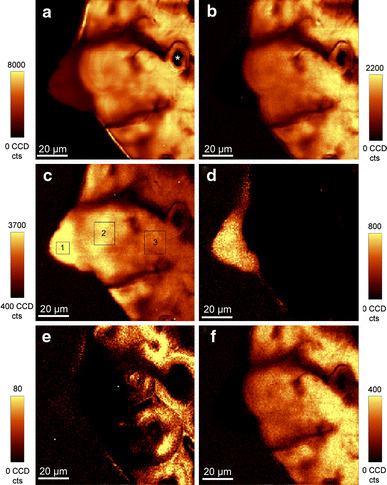 Fig. 3