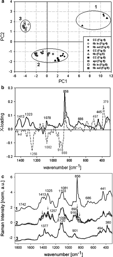 Fig. 7