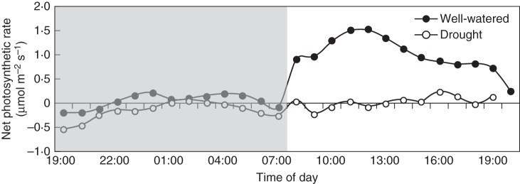 Fig. 7.