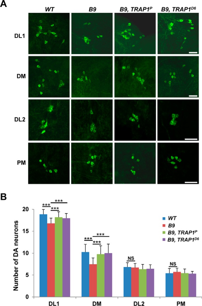 FIGURE 4.