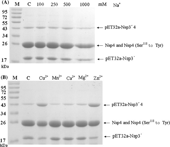 Fig. 5