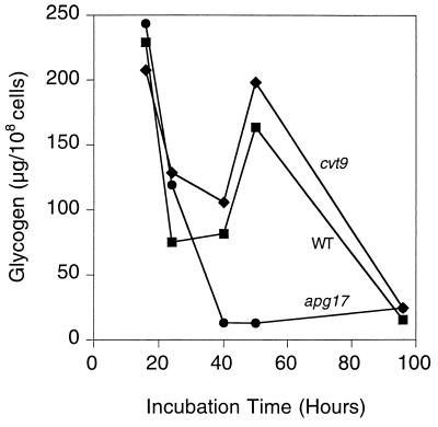 FIG. 6