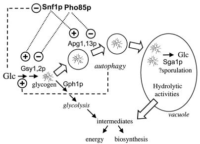 FIG. 11