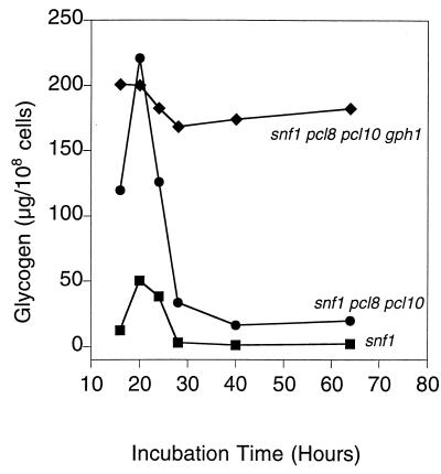 FIG. 10