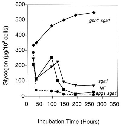 FIG. 4