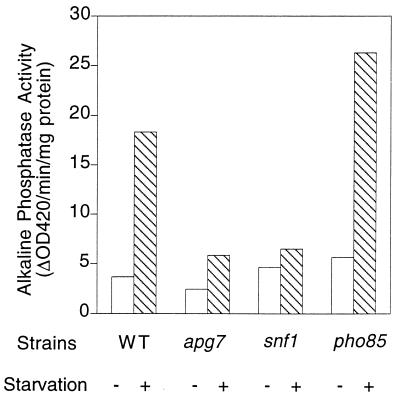 FIG. 8