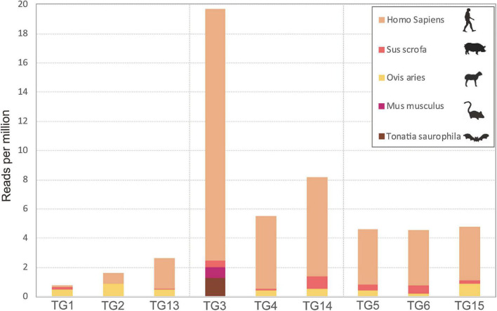 FIGURE 1