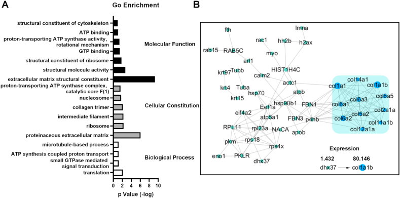 Fig. 4