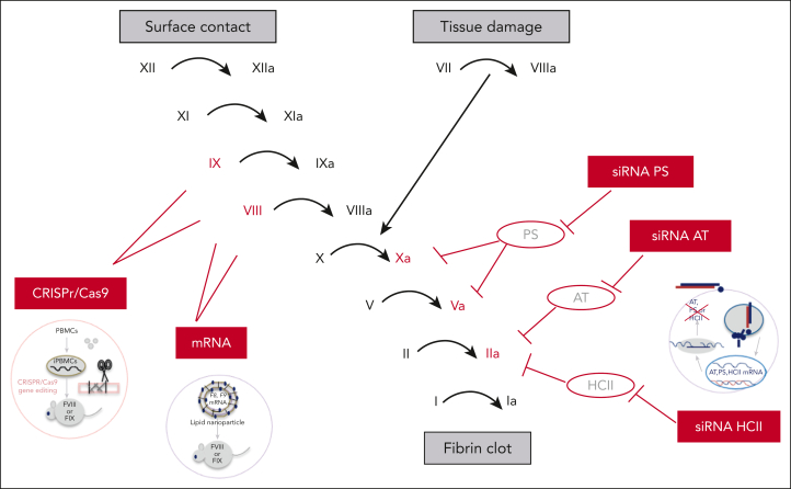 Figure 1.