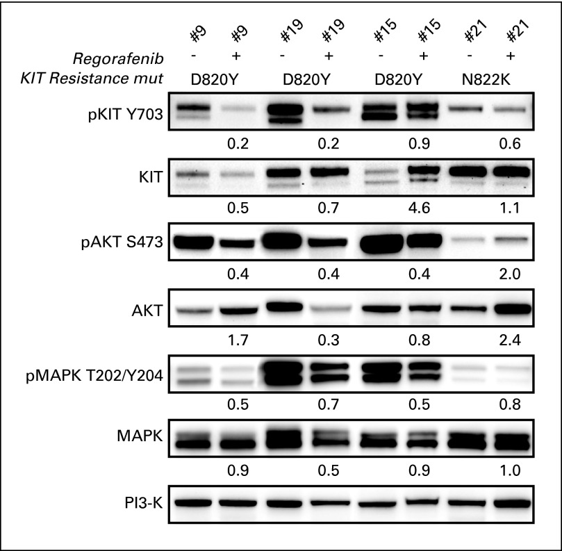 Fig A1.