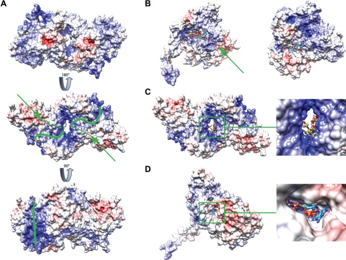 Figure 5.