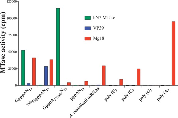 Figure 7.