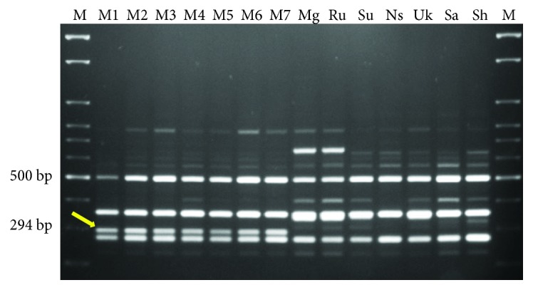 Figure 1