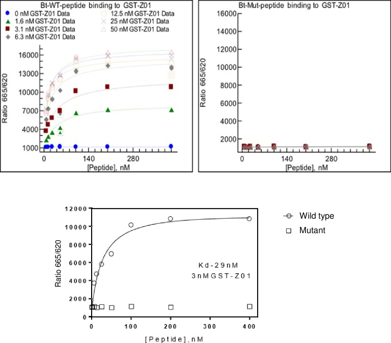 Fig 3