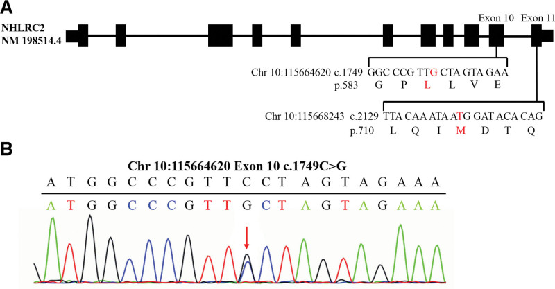 Figure 4.