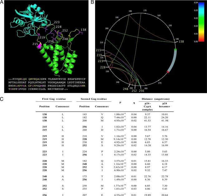 FIG. 2.