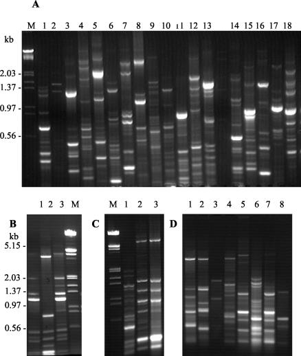 FIG. 4.