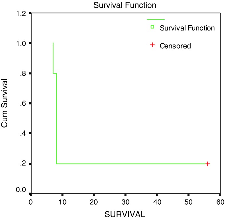 Fig. 4