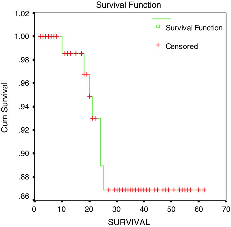 Fig. 1