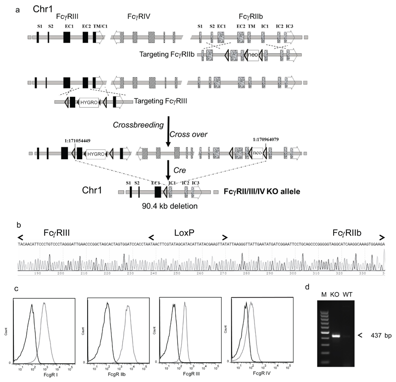 Fig.1