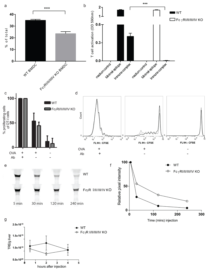 Fig.3