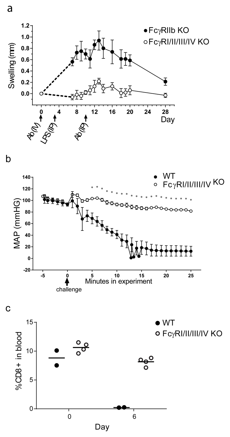 Fig.2