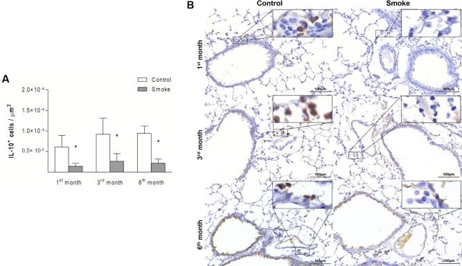 Fig 10