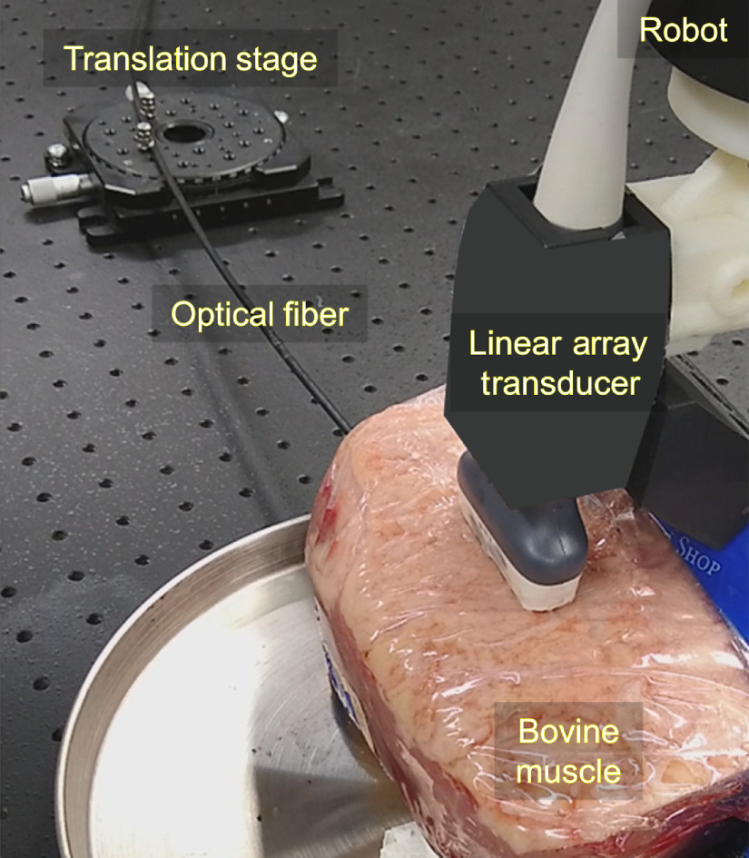 Fig. 3