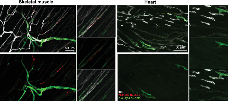 Figure 2—figure supplement 1.